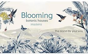 Madeira Wine Cottages